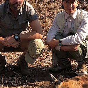Hunt Sharpe's Grysbok in Zambia