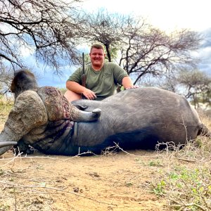 Buffalo Hunt South Africa