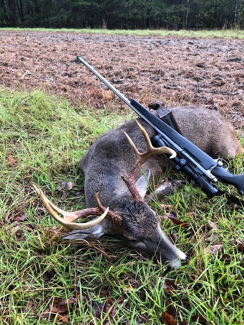 10-27-19 BUCK II.jpg