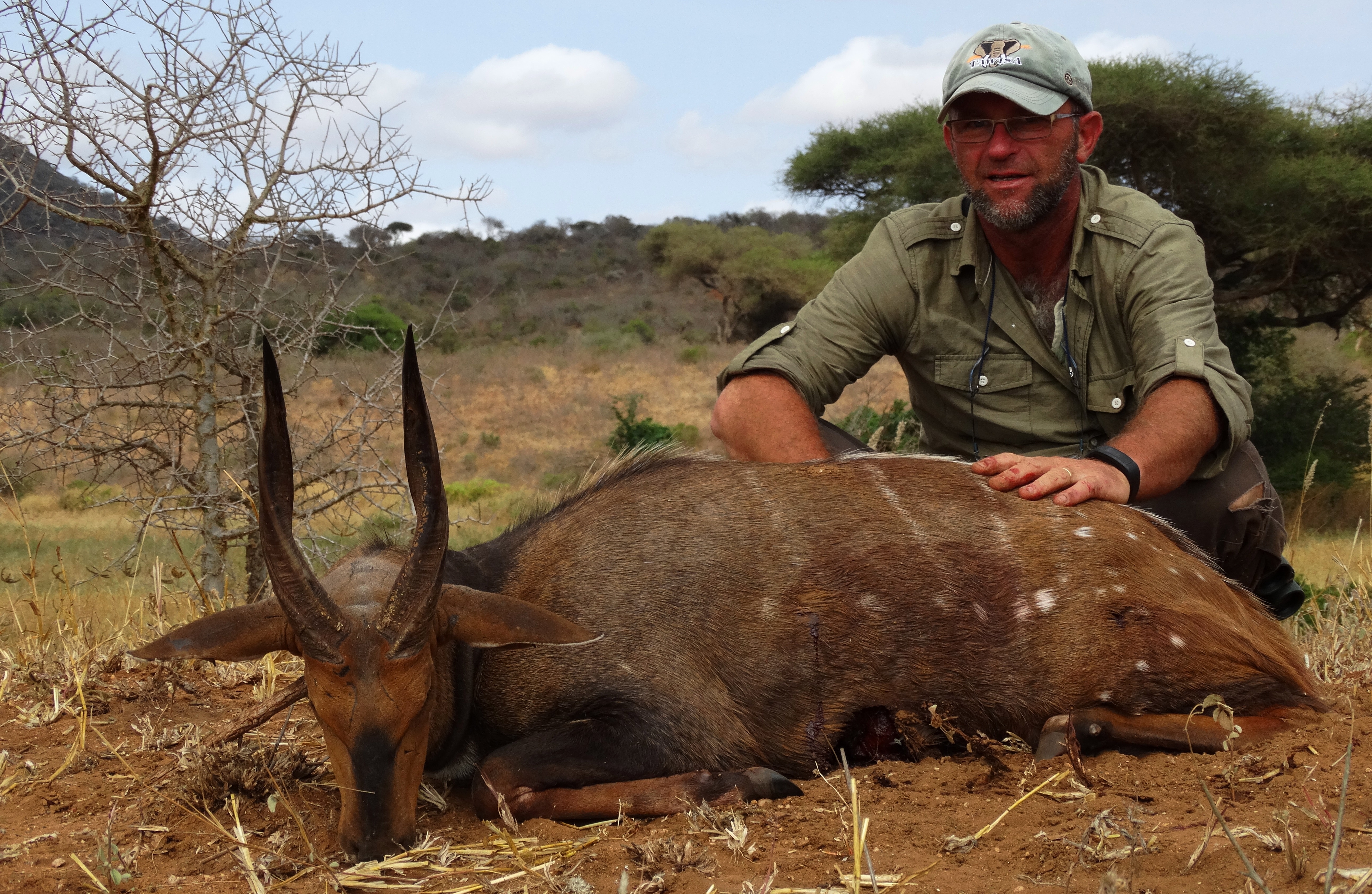 13,5 bushbuck.JPG