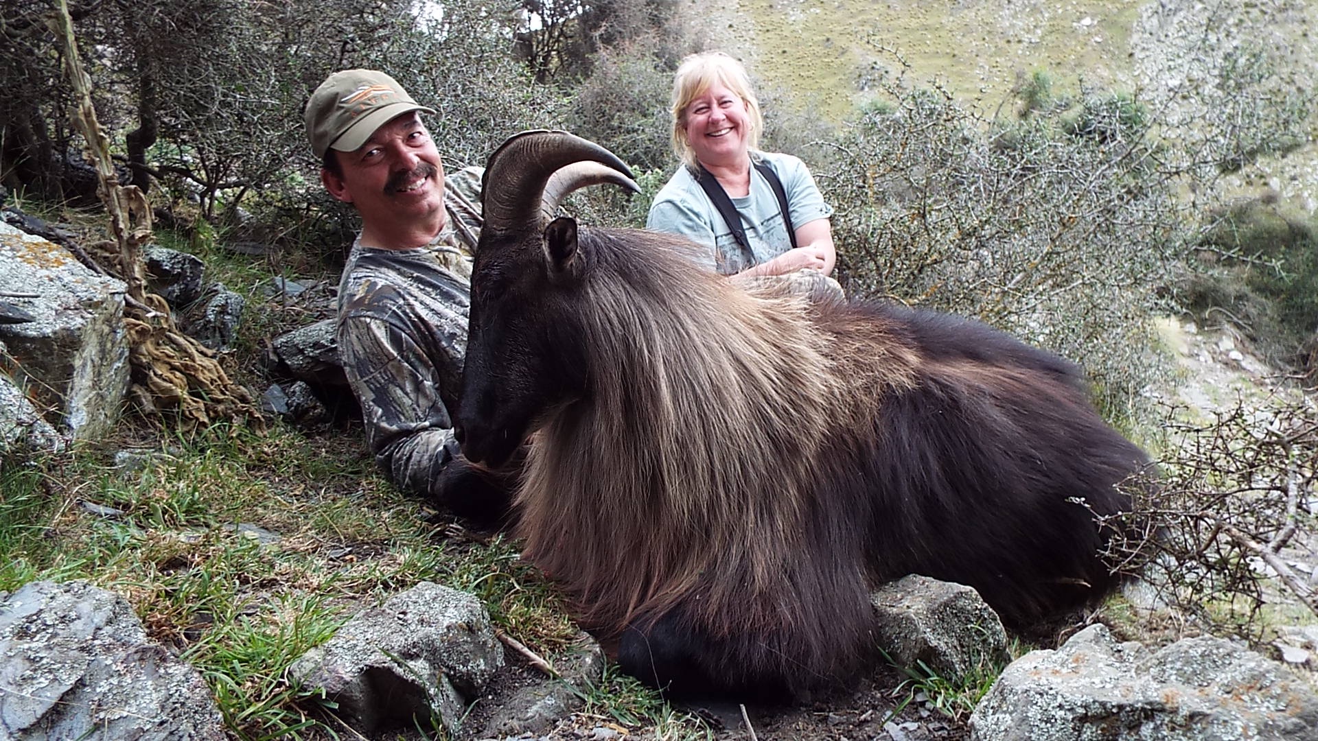 13 inch Bull Tahr Hunting.jpg