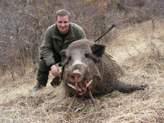 14cm Boar.jpg