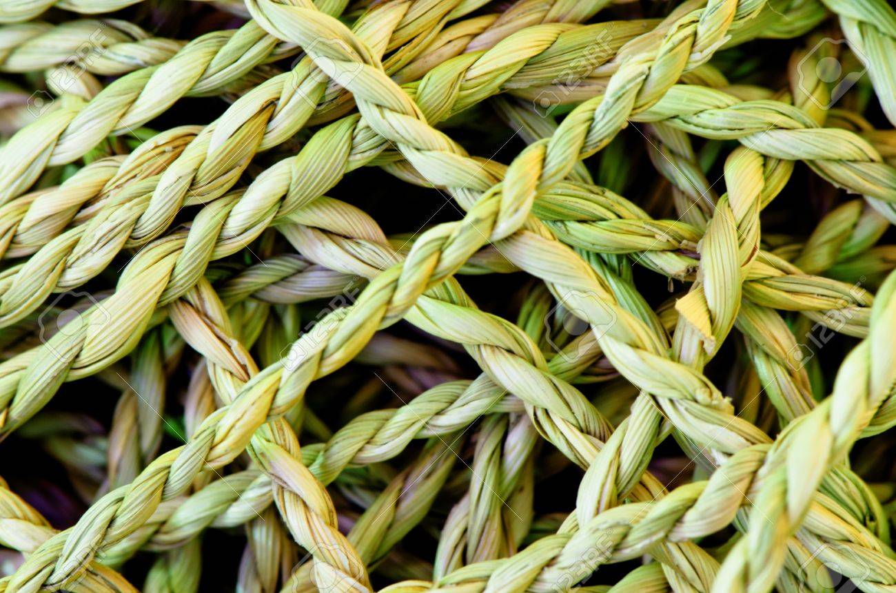 15226857-rope-made-from-vetiver-grass-vetiveria-zizanioides-.jpg