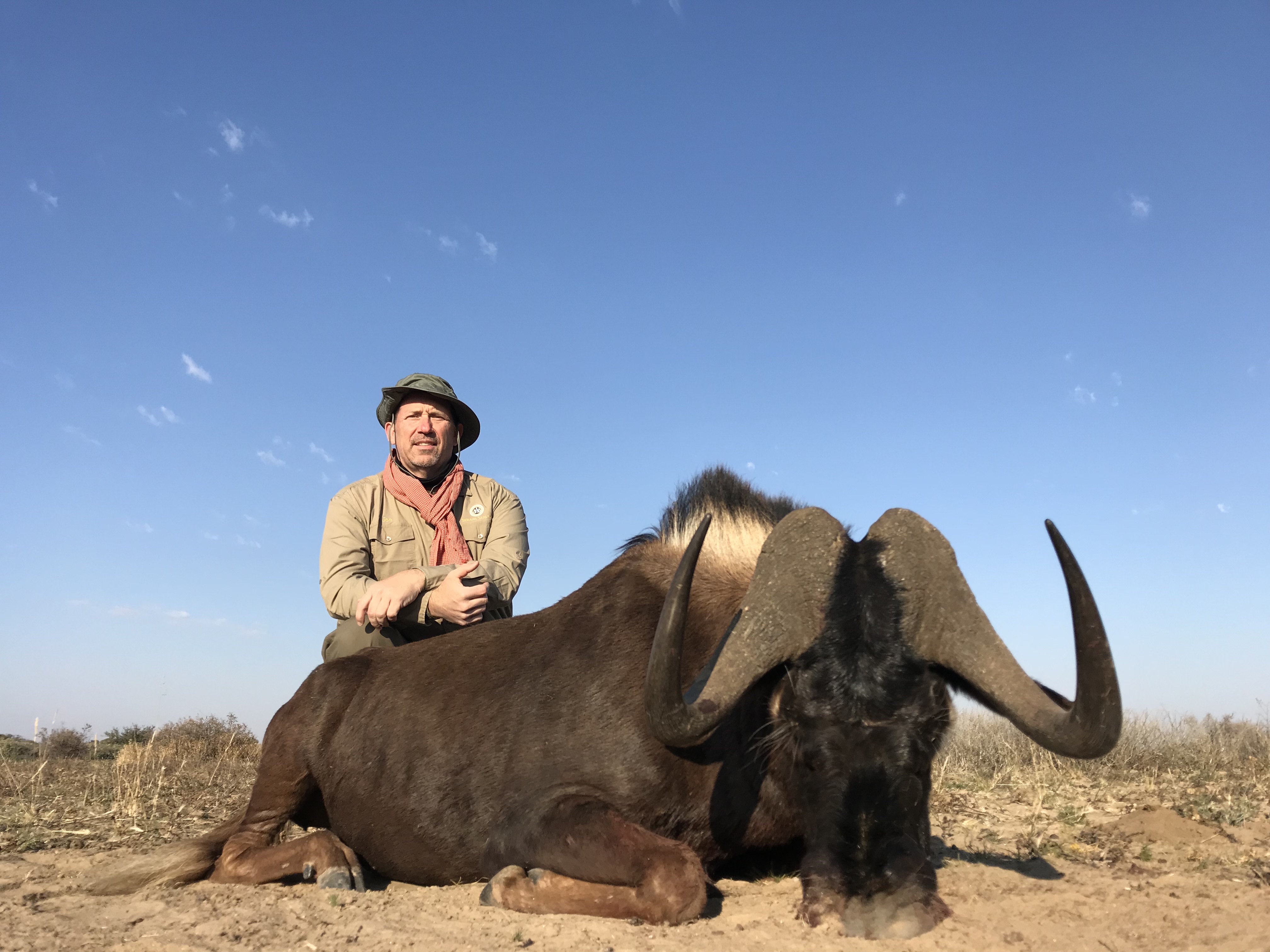 18.1 black wildebeest.jpg