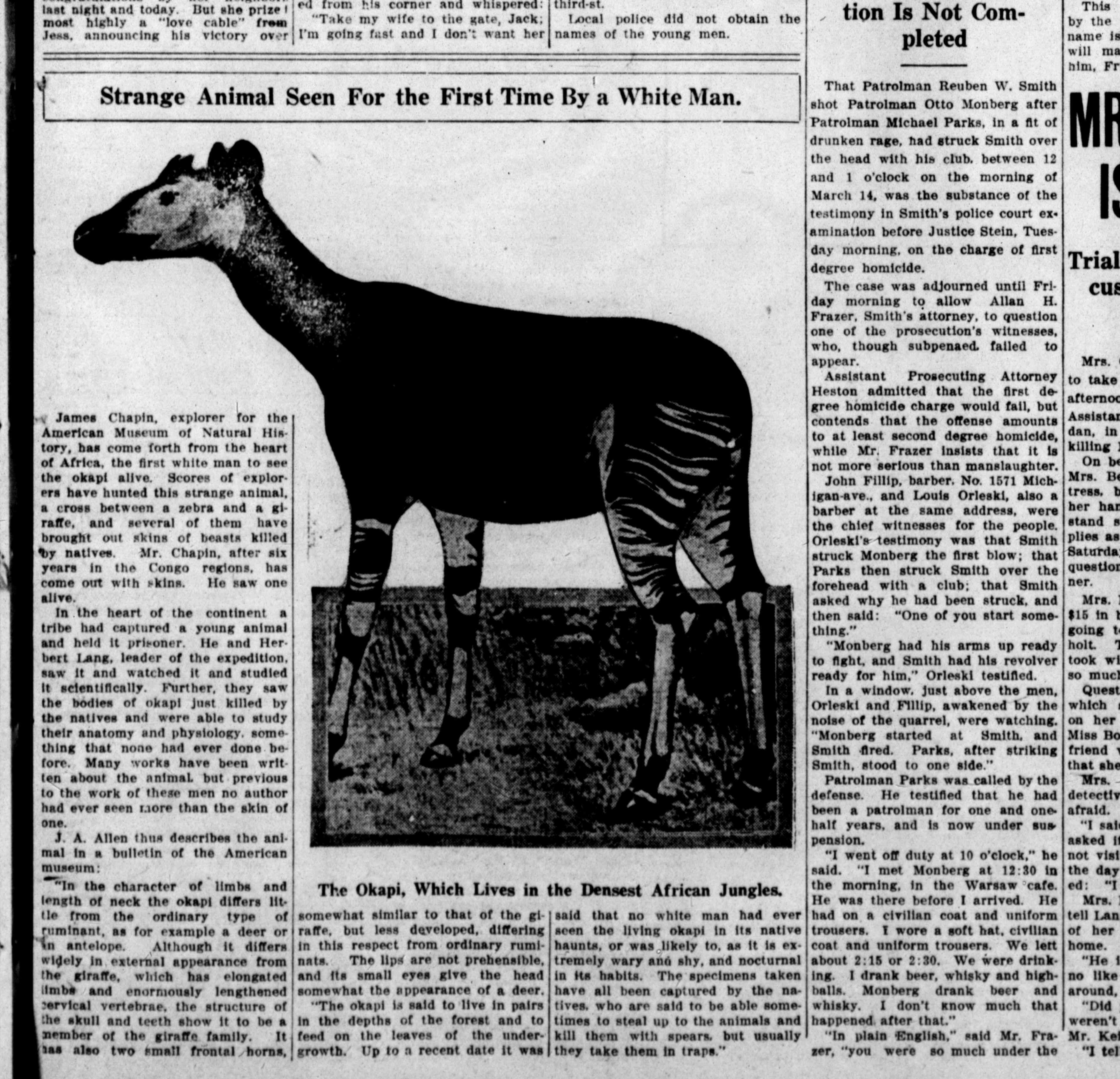 1915-04-07 Strange Animal_Detroit Times.jpg