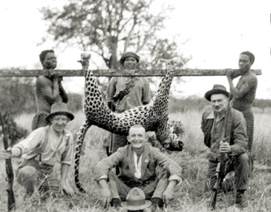 1920's leopard hunt in Swaziland.jpg