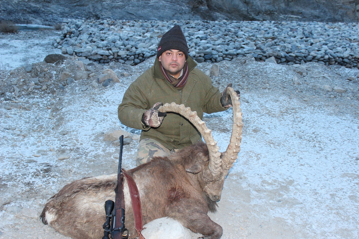 1st Himalayan Ibex Jan 2014.jpg