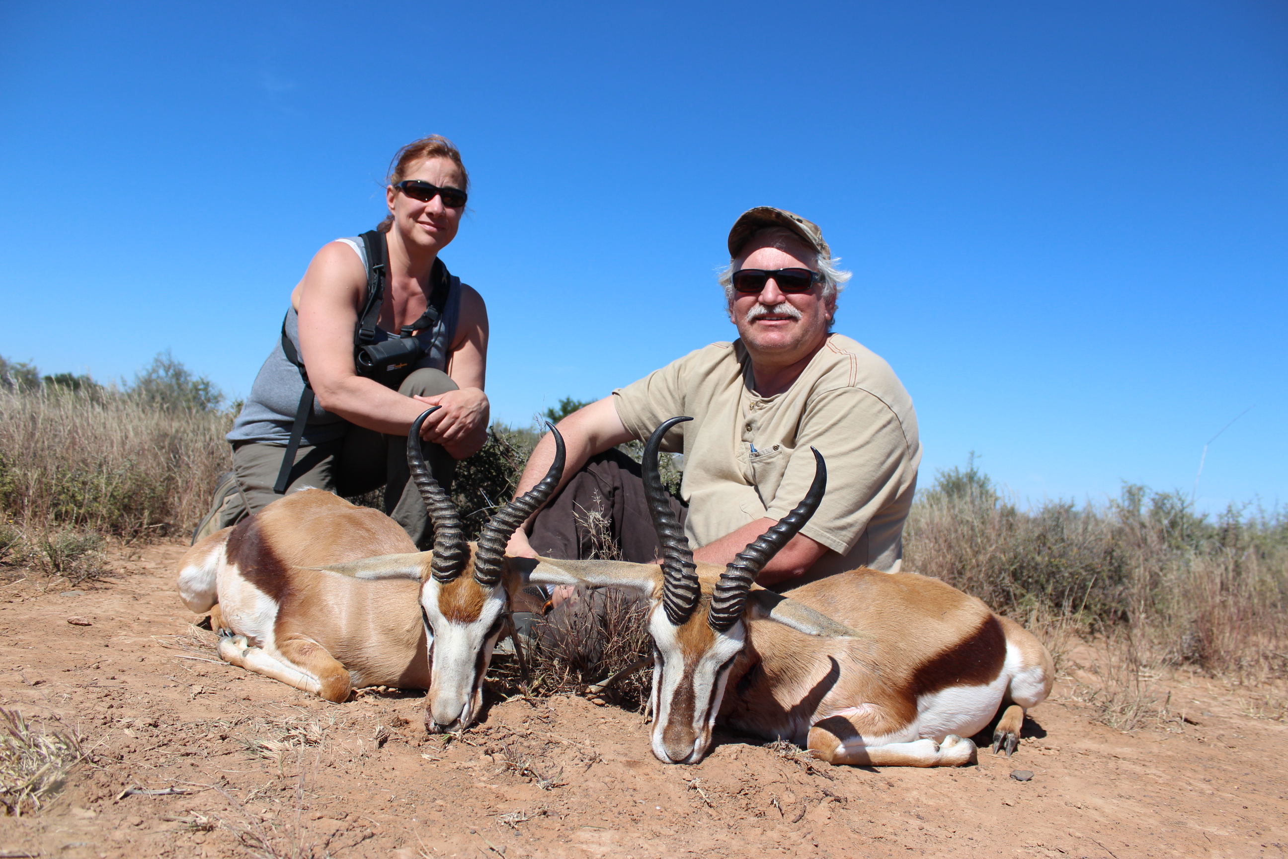 2 Common Springbok April 2014.jpg