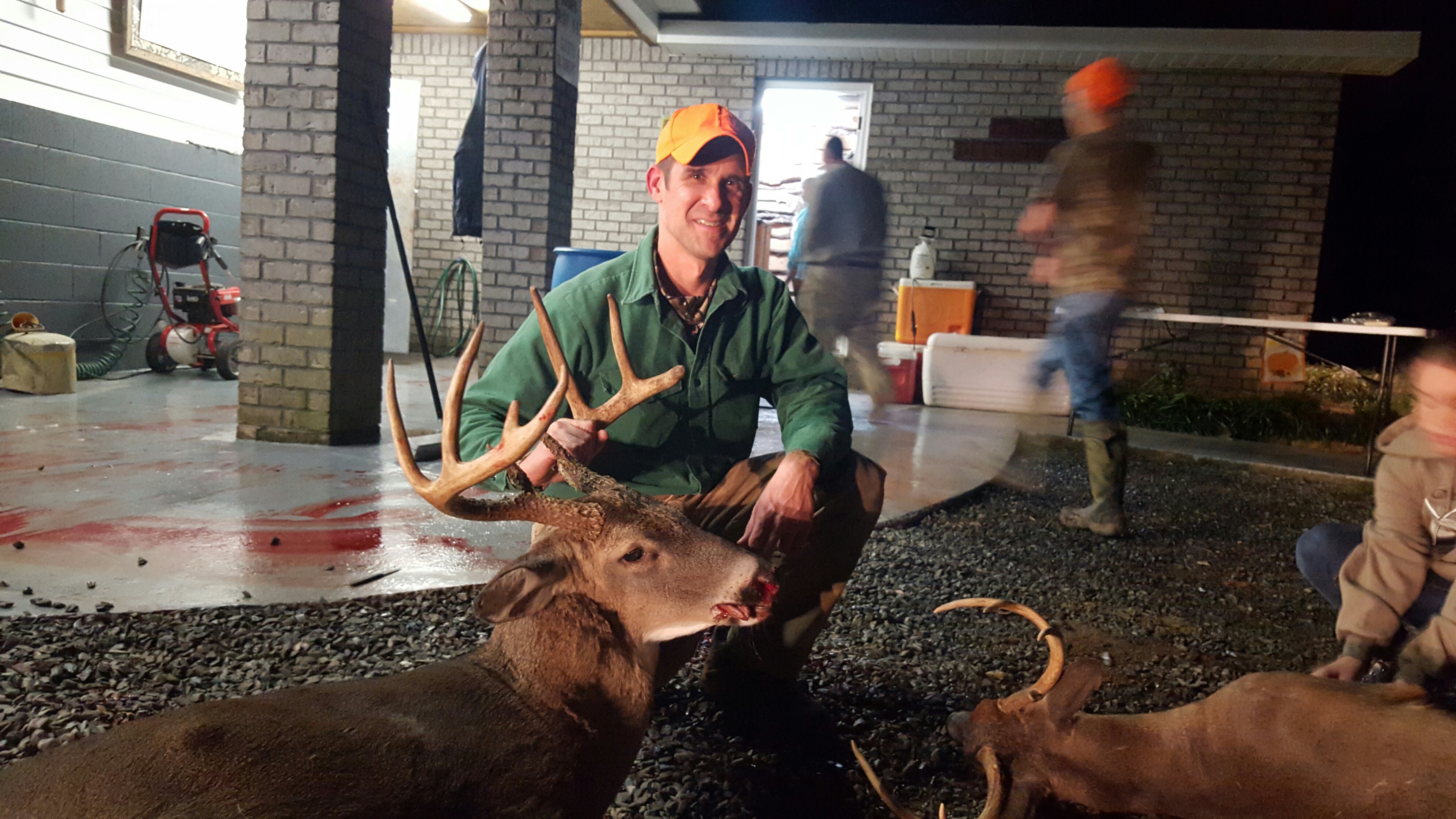 2015 deer 3.jpg