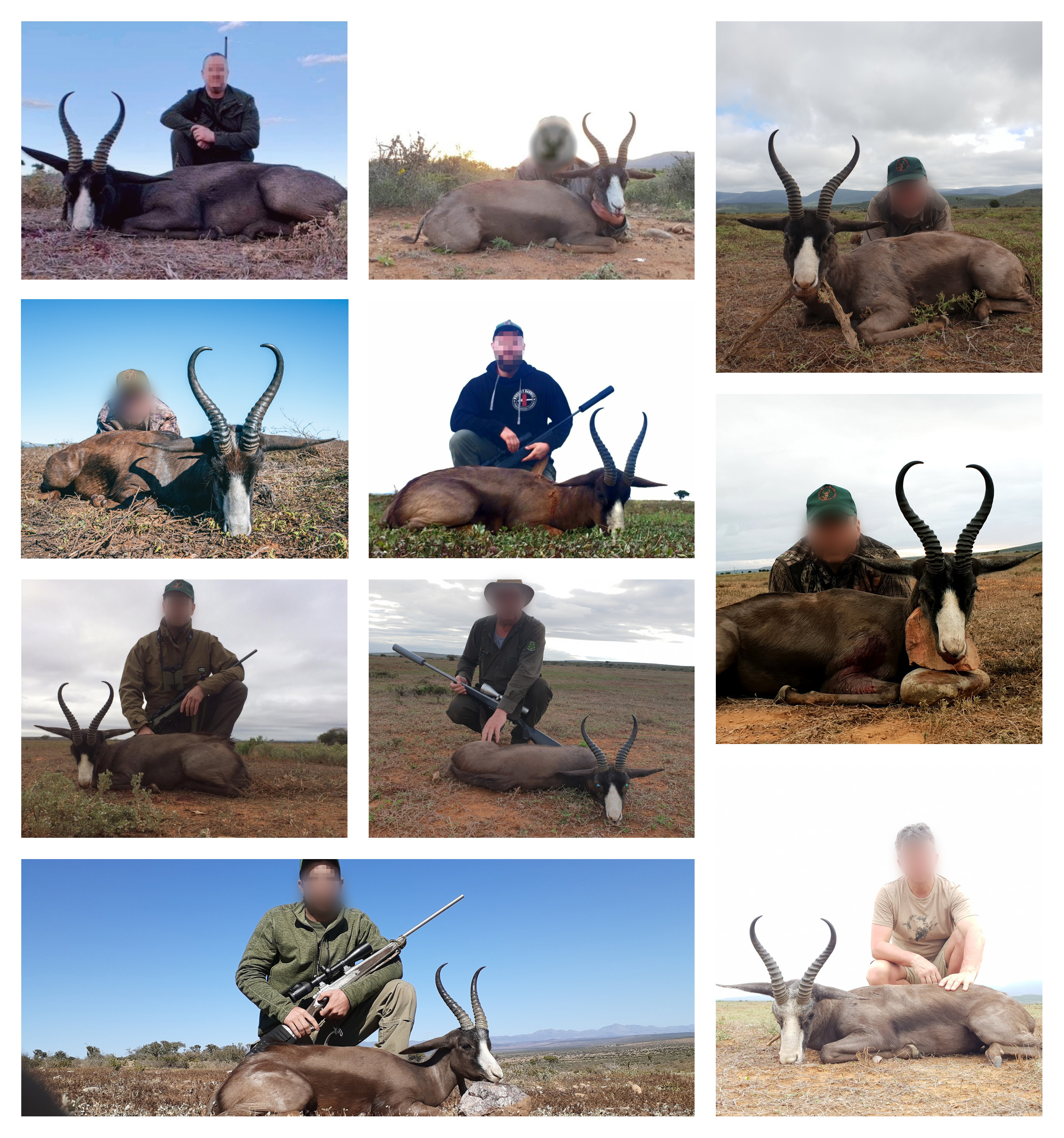 2019 Black Springbok collage.jpg