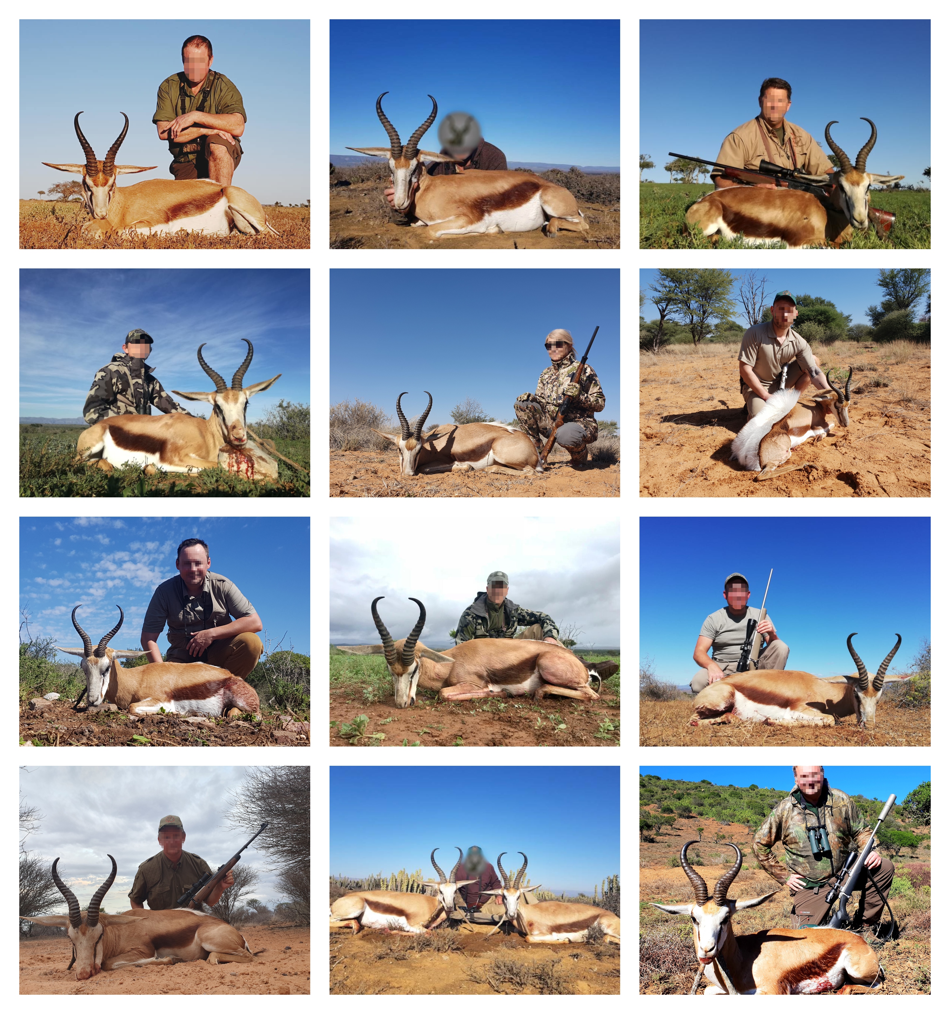 2019 Cape Springbok collage.jpg