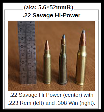 .22 Savage Hi-Power.png