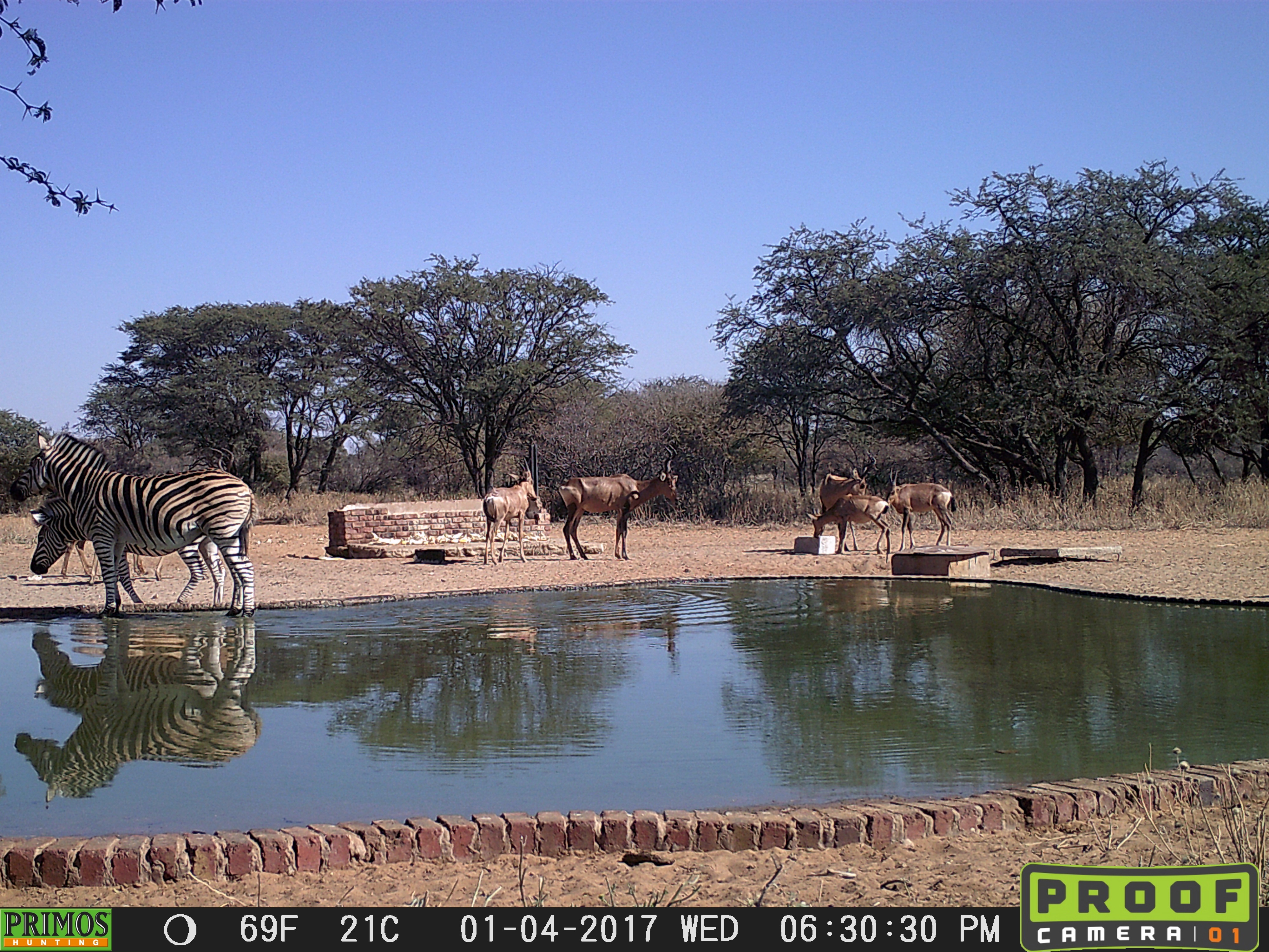 30.2  waterhole 3 TC- AAA.jpg