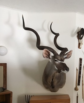 63 1:4 kudu et al.png