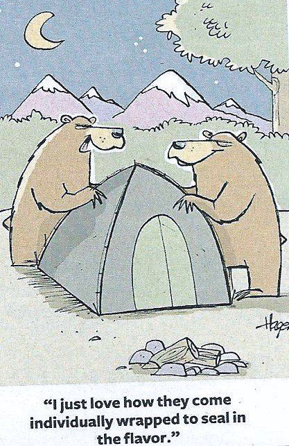 86fc55efb8a4b5306dee2dd1aa510386--camping-humor-funny-camping.jpg