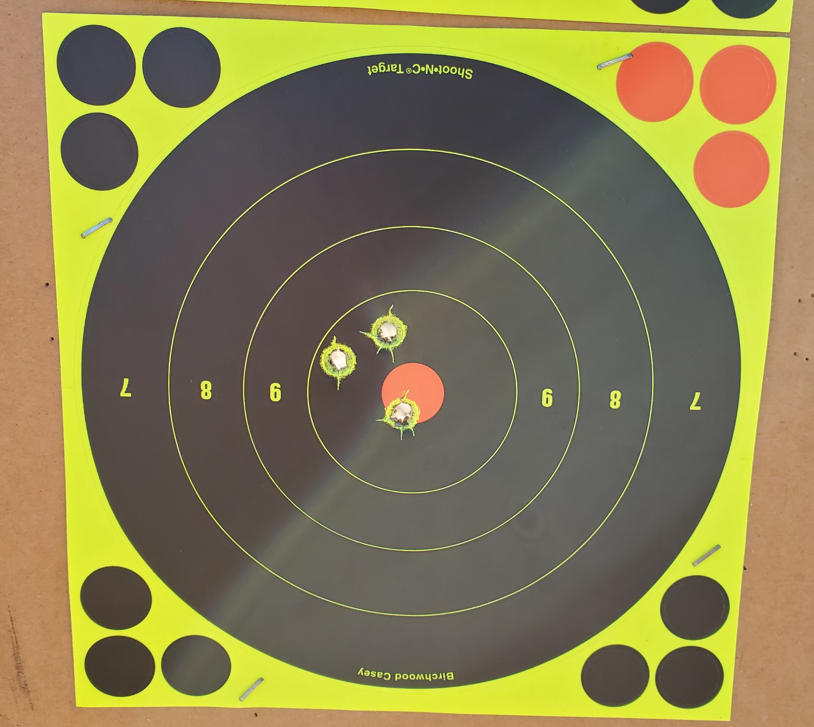 9.3x62 300 Grain AF 57.3 RL17 50 Yd Sticks (2).jpg