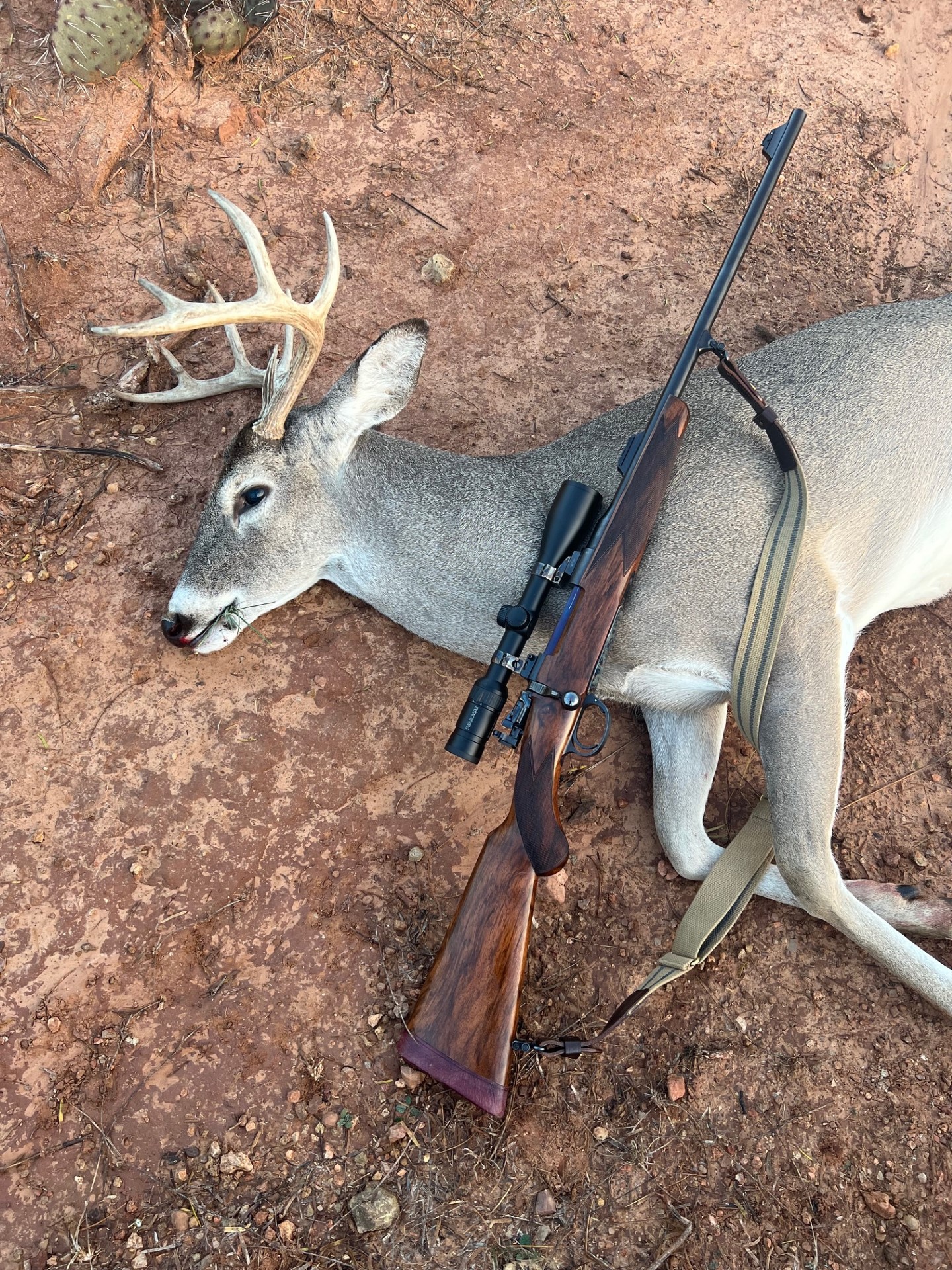 9pt Texoma Dec 2023.jpg