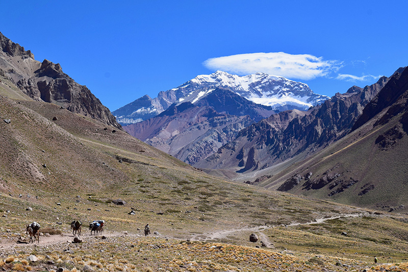 Aconcagua.jpg