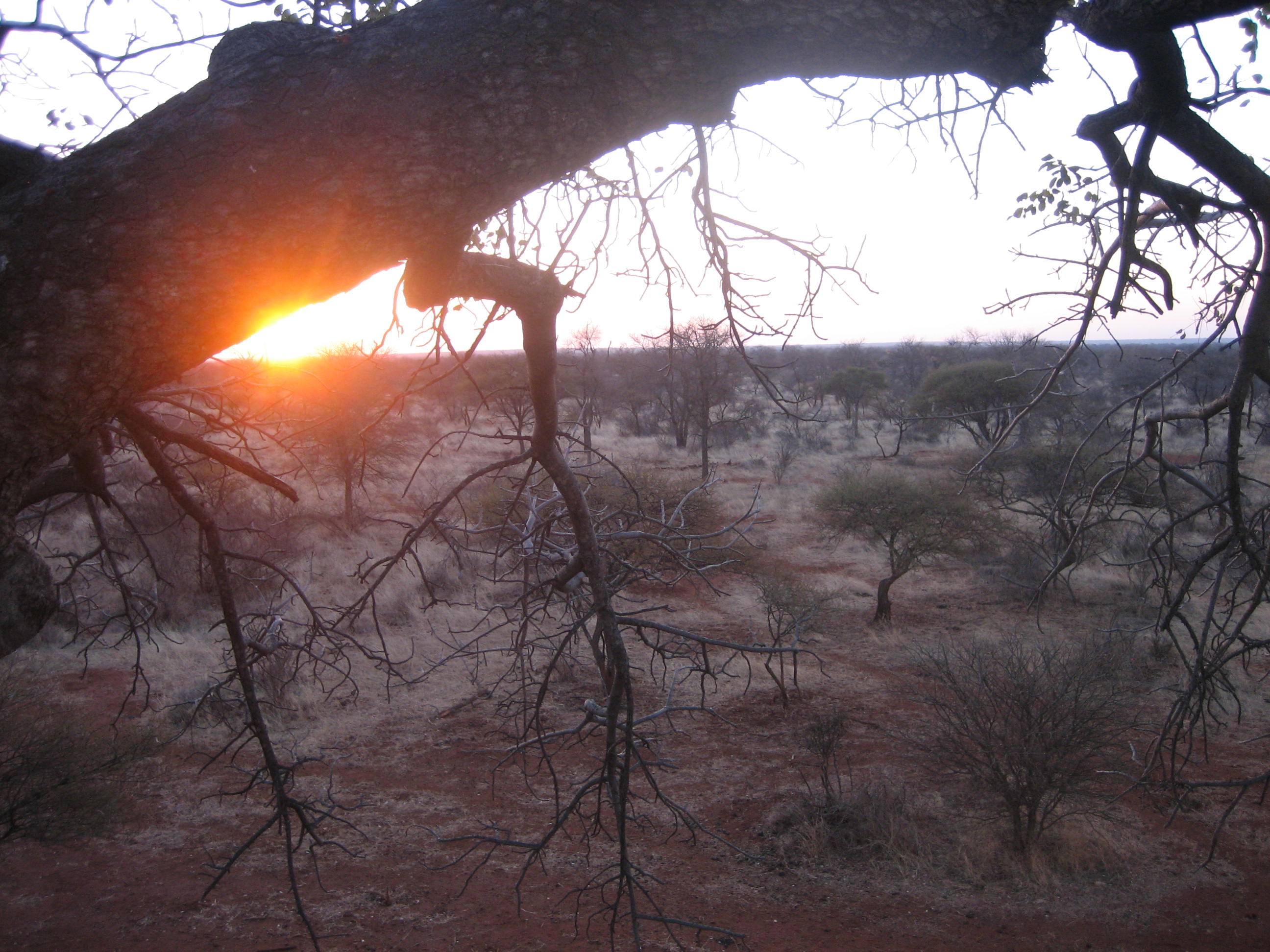 Africa 2009 216.jpg