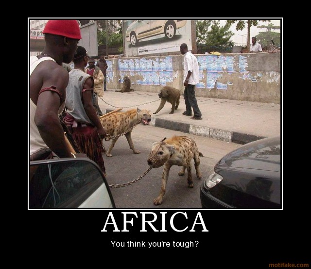 africa-africa-hyena-hyenas-tough-you-think-you-re-tough-demotivational-poster-1241752961.jpg