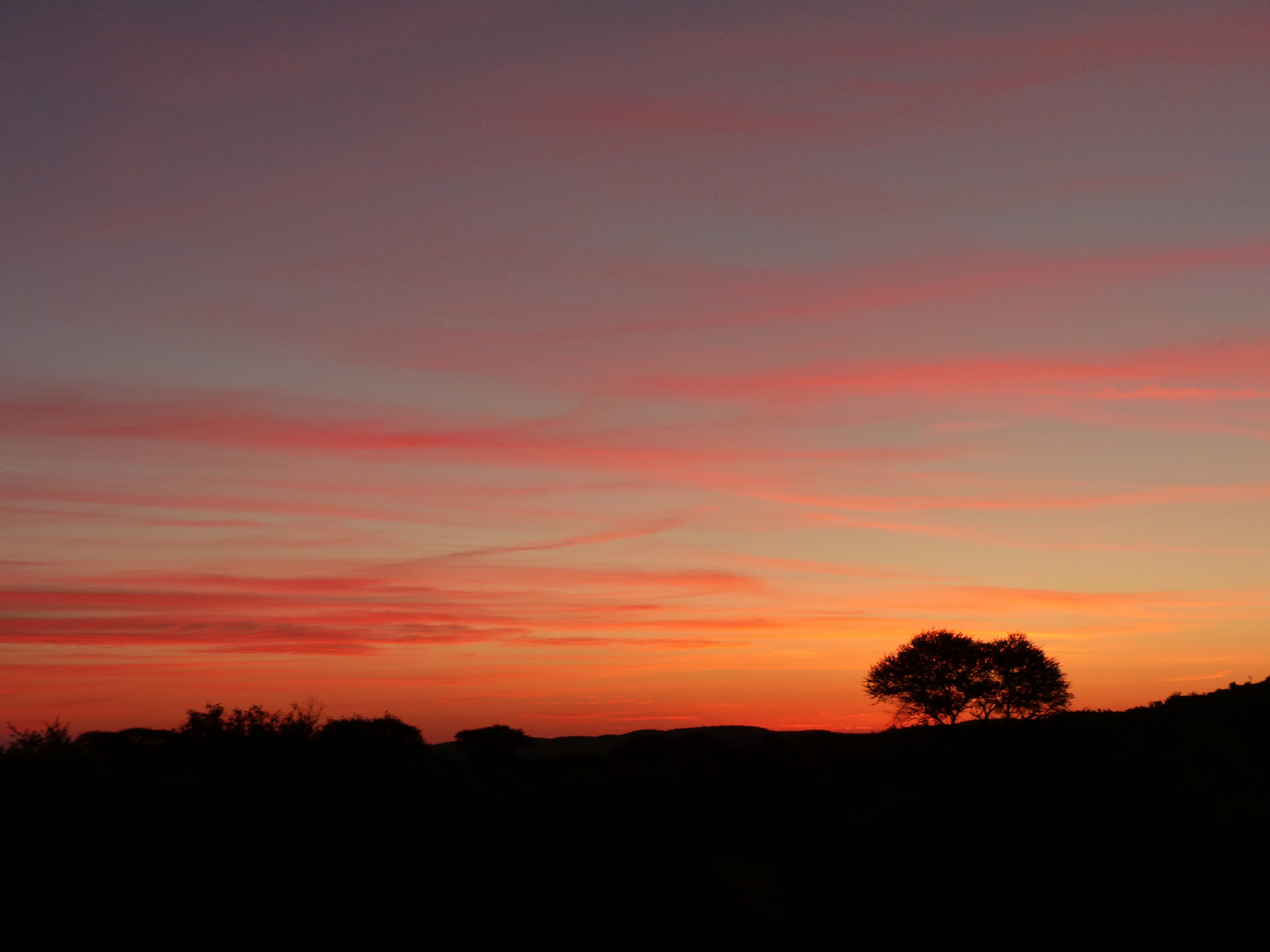 Africa Sunset.jpg