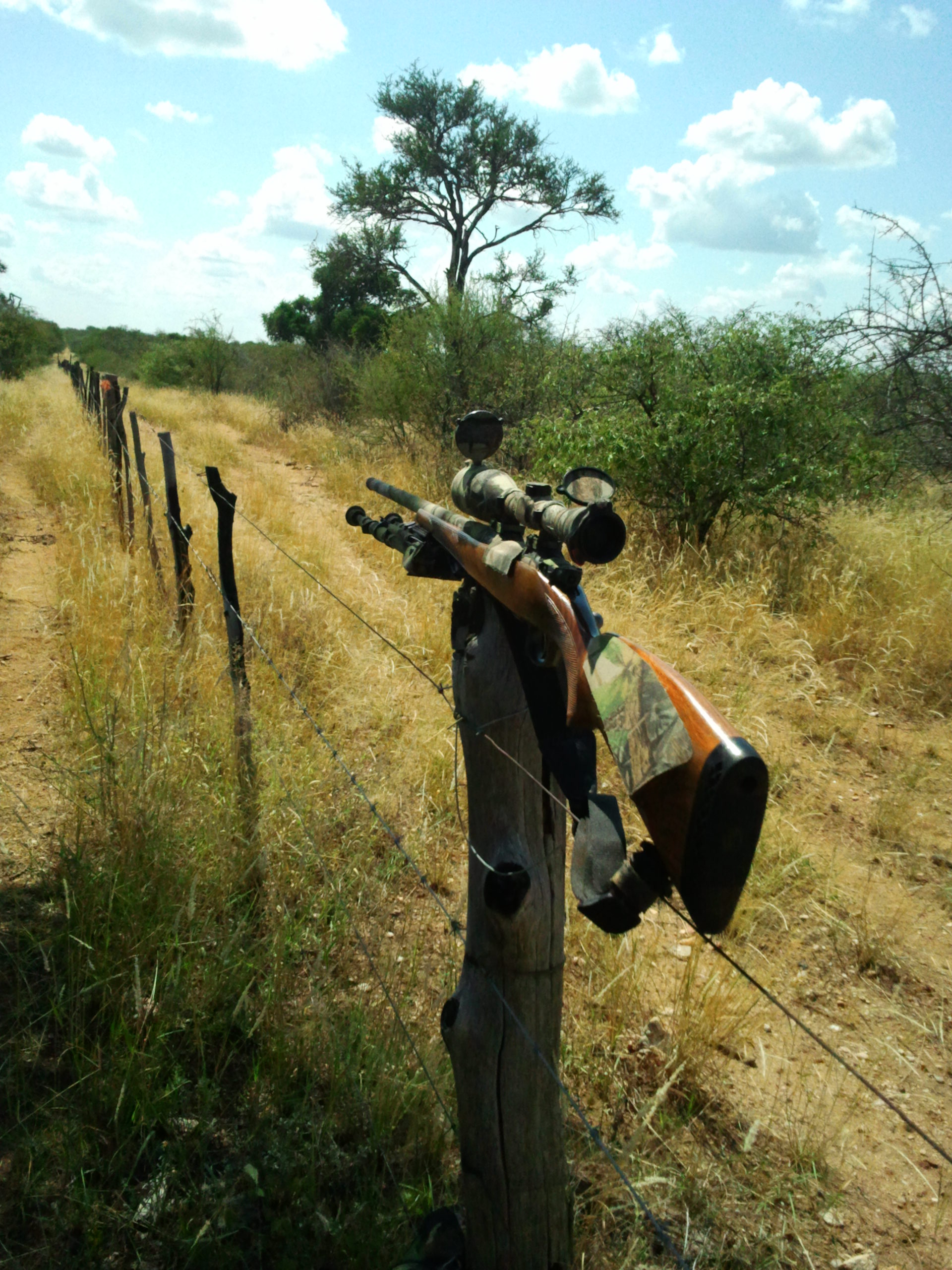 African bushveld had good rain. - Copy.jpg