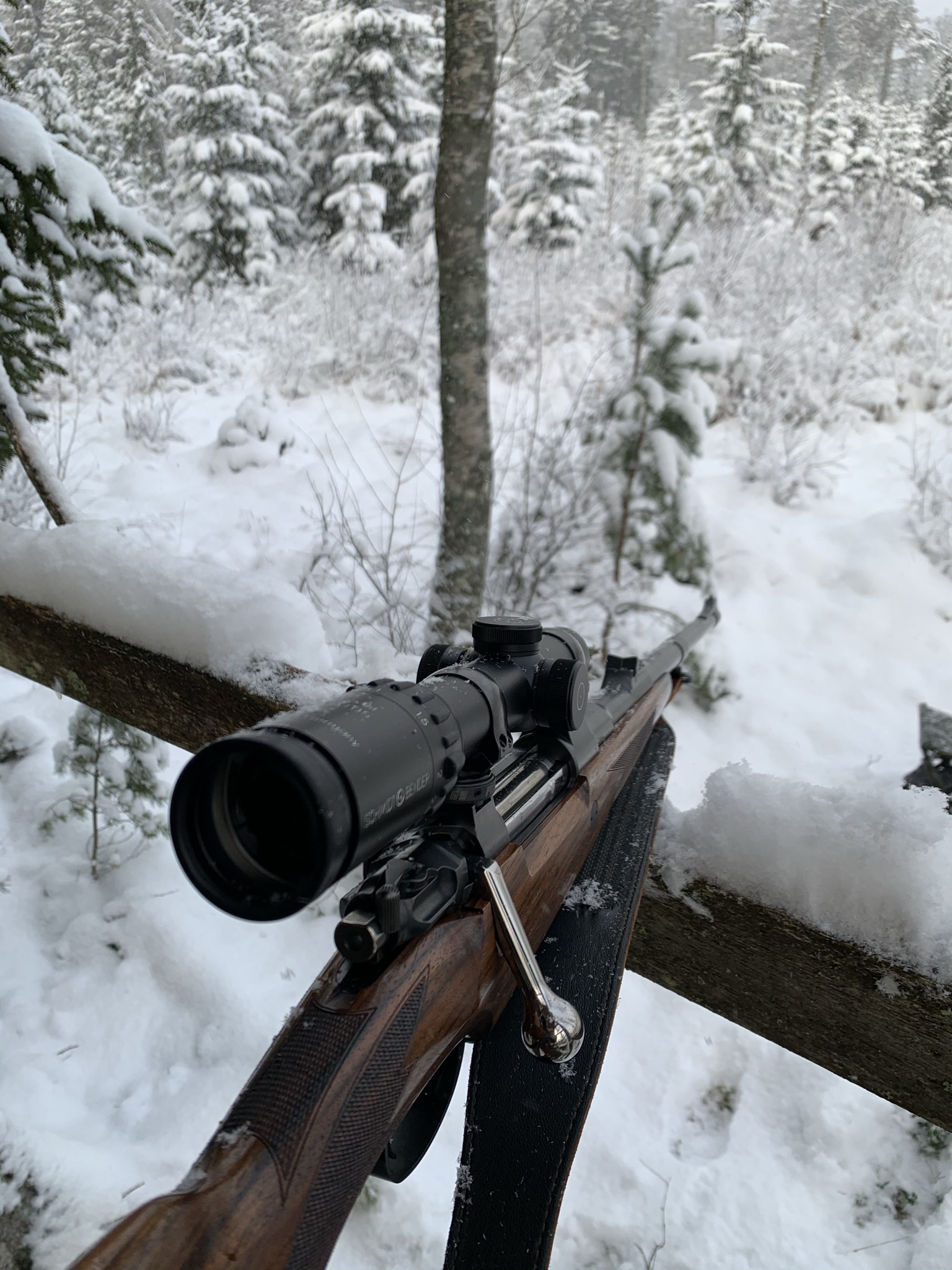 African queen in the snow.jpg