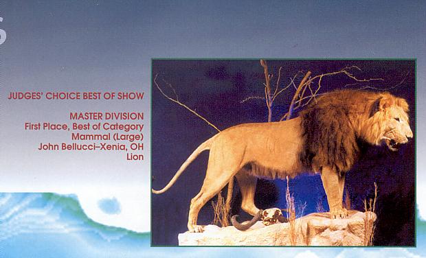 AfricanLion-BarbaryLionMount-36-Inside'Breakthrough'Magazine.jpg