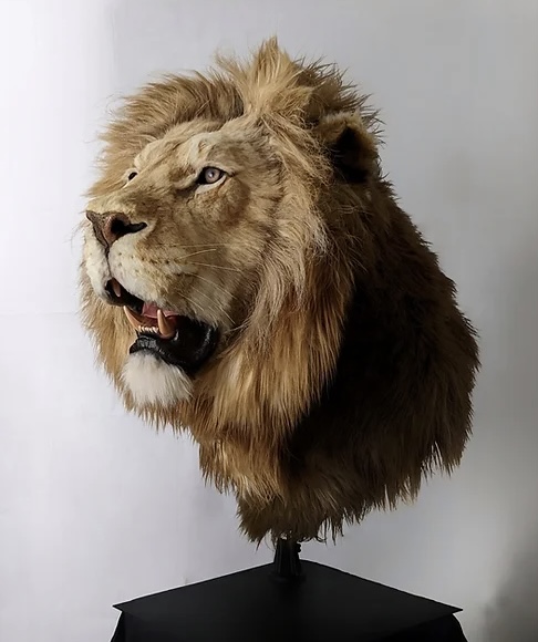 Animal Replicas Lion Small.jpg