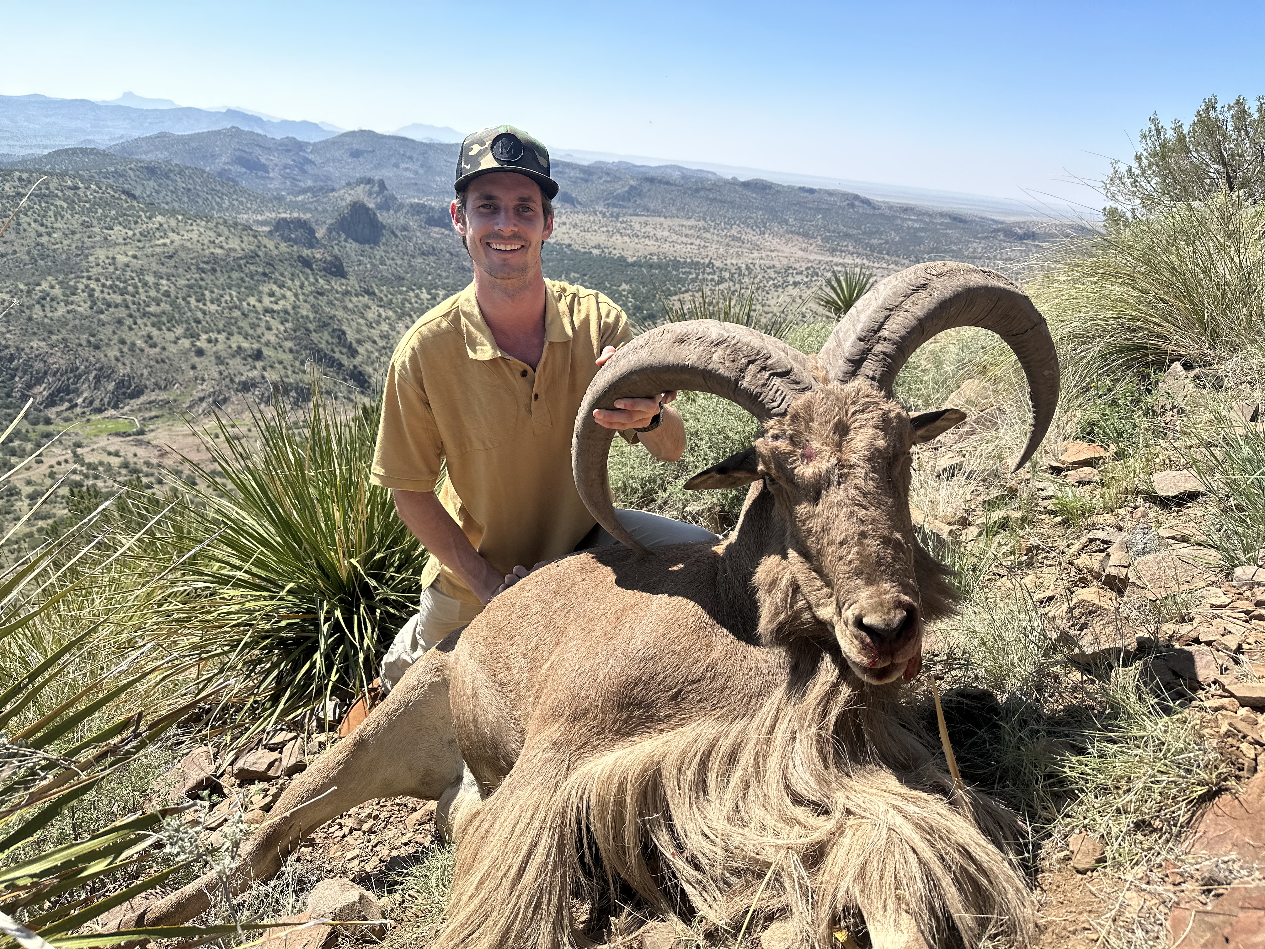 AOUDAD.jpg