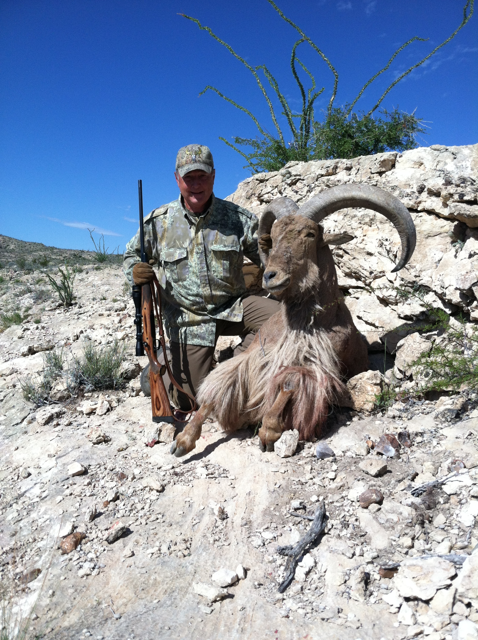 Art & Aoudad slight turn 02.jpg