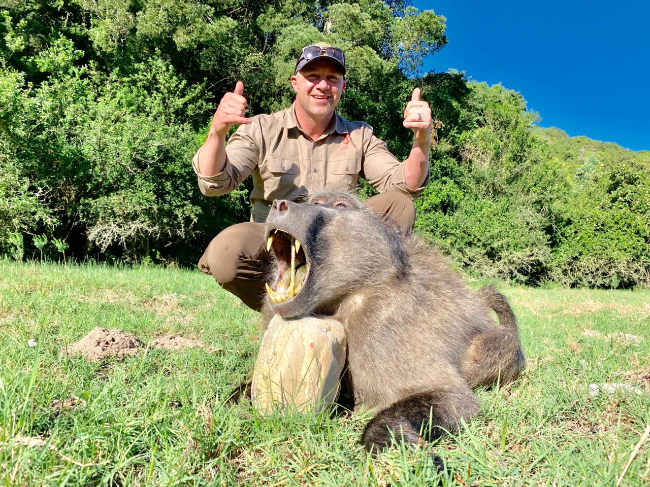 baboon teeth.jpg