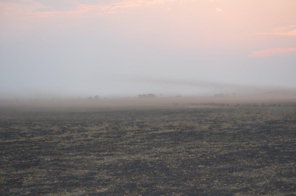 Bangweulu Dust.jpg