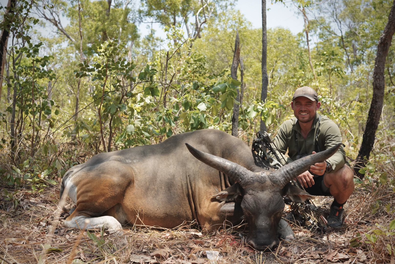 banteng 10.jpg