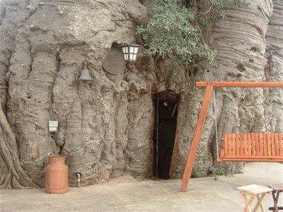 Baobab_Tree_-_Pub_Entrance.JPG