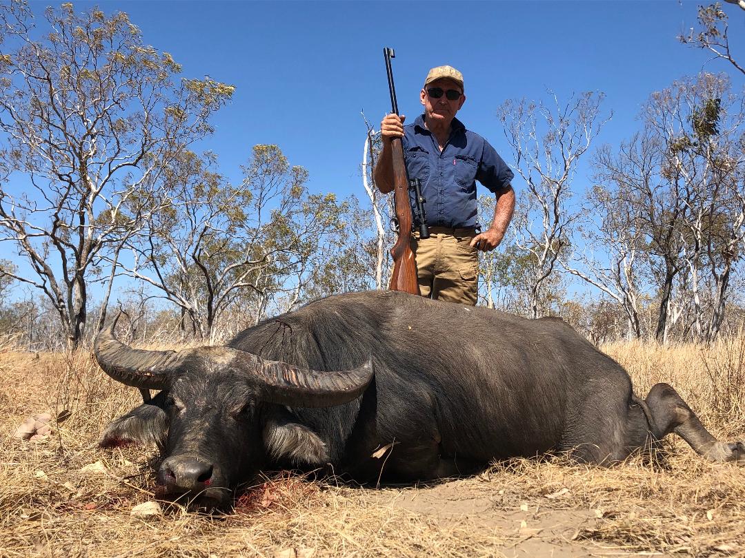 Baz Water Buffalo NT shot with 505 Gibbs.jpg