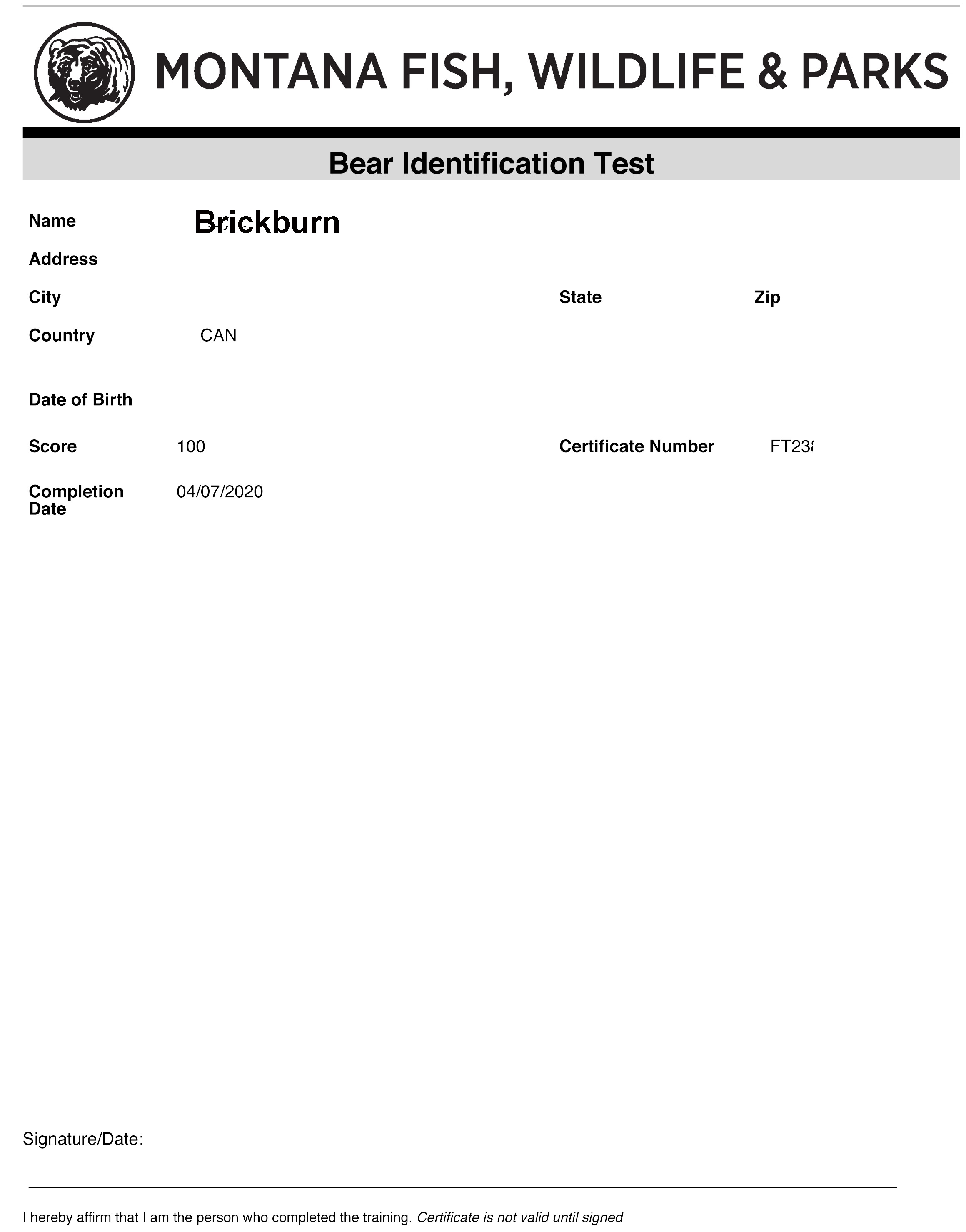 Bear cert.jpg