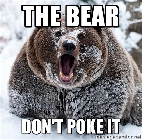 bear.jpg