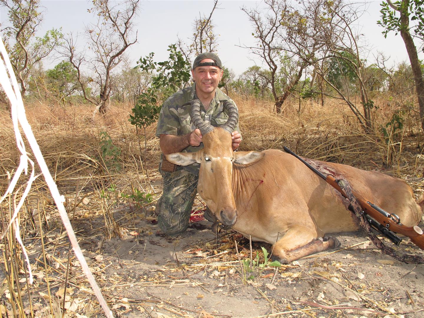 BF Hartebeest.JPG