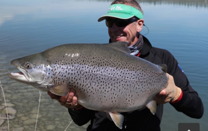 big Otago trout.jpg