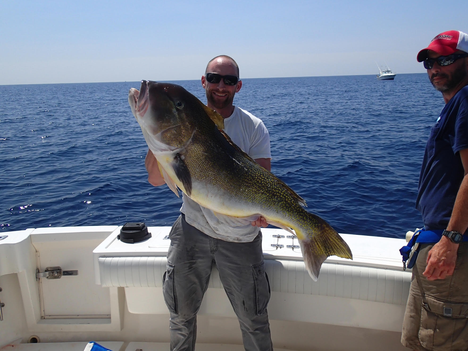 BigTilefish.jpg