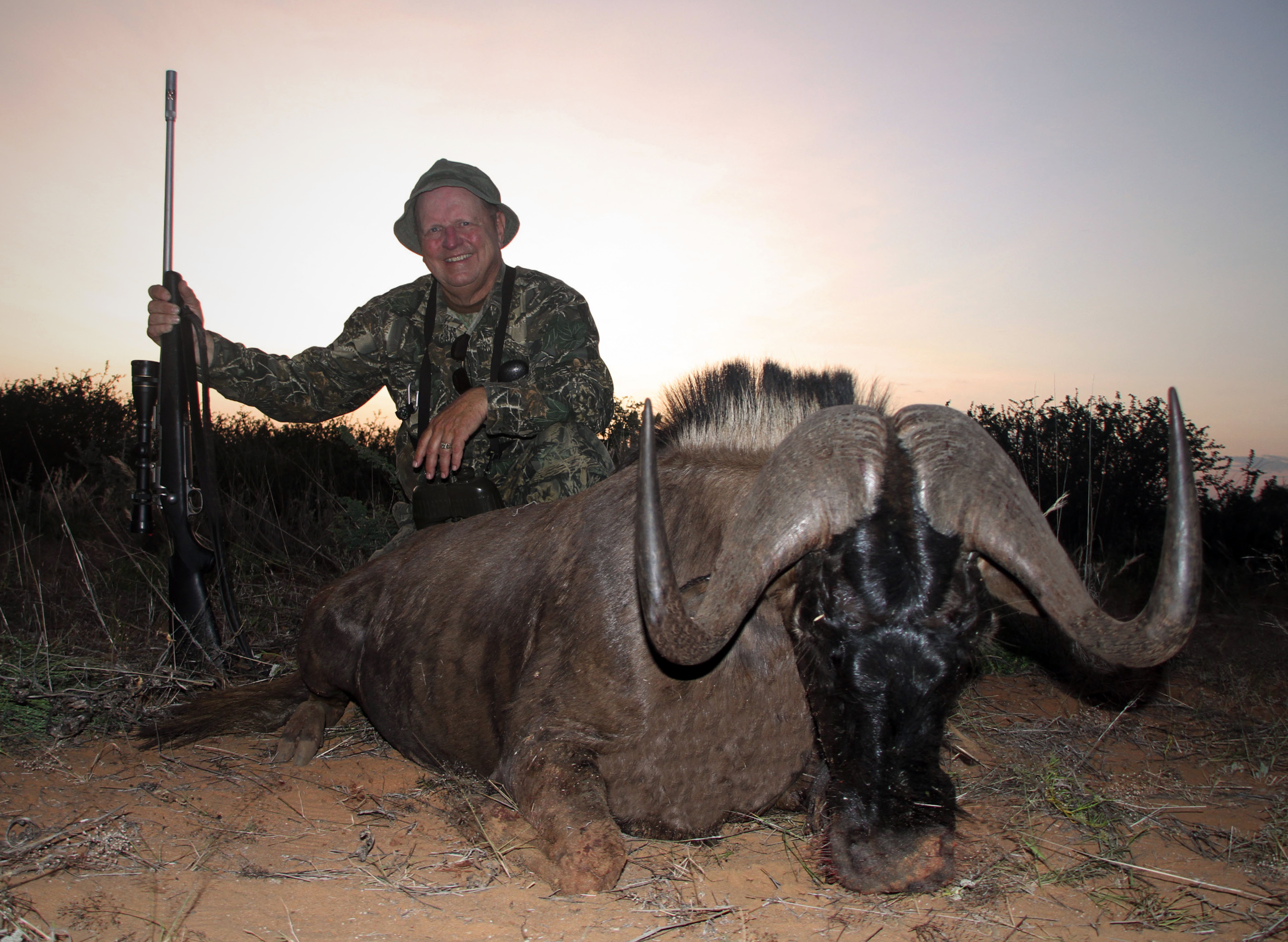 Black wildebeest - 2.JPG