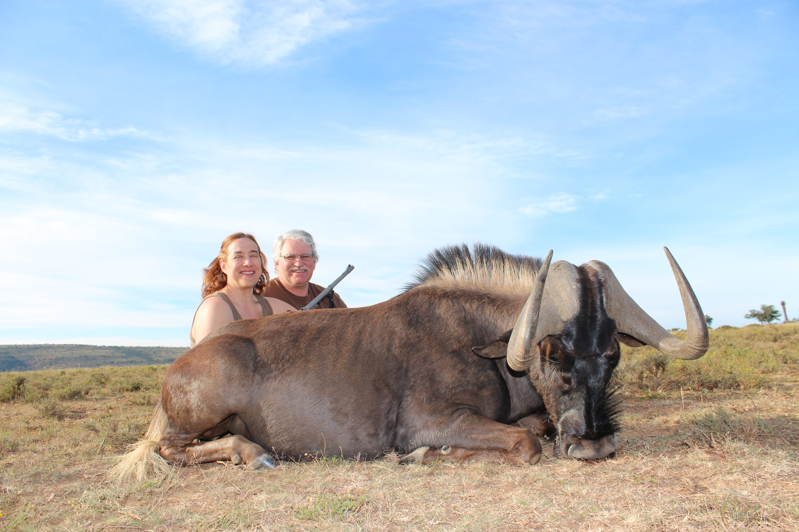 Black Wildebeest April 2014.jpg