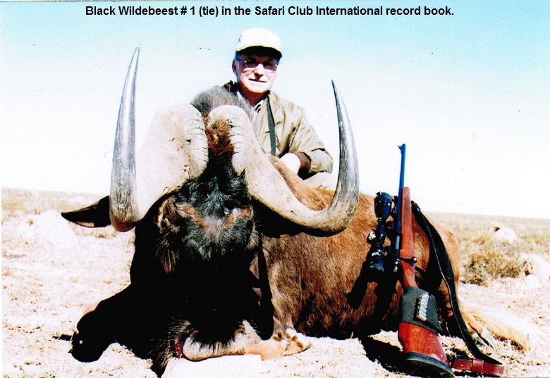 Black Wildebeest Louis No 1.jpg