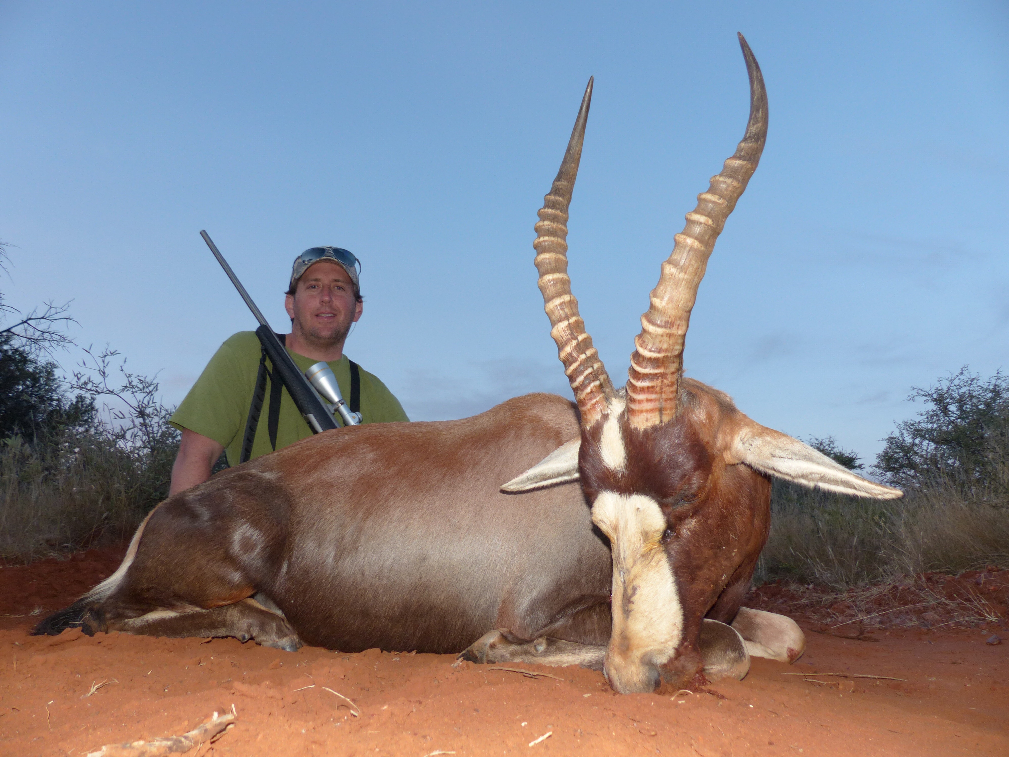 blesbok.jpg