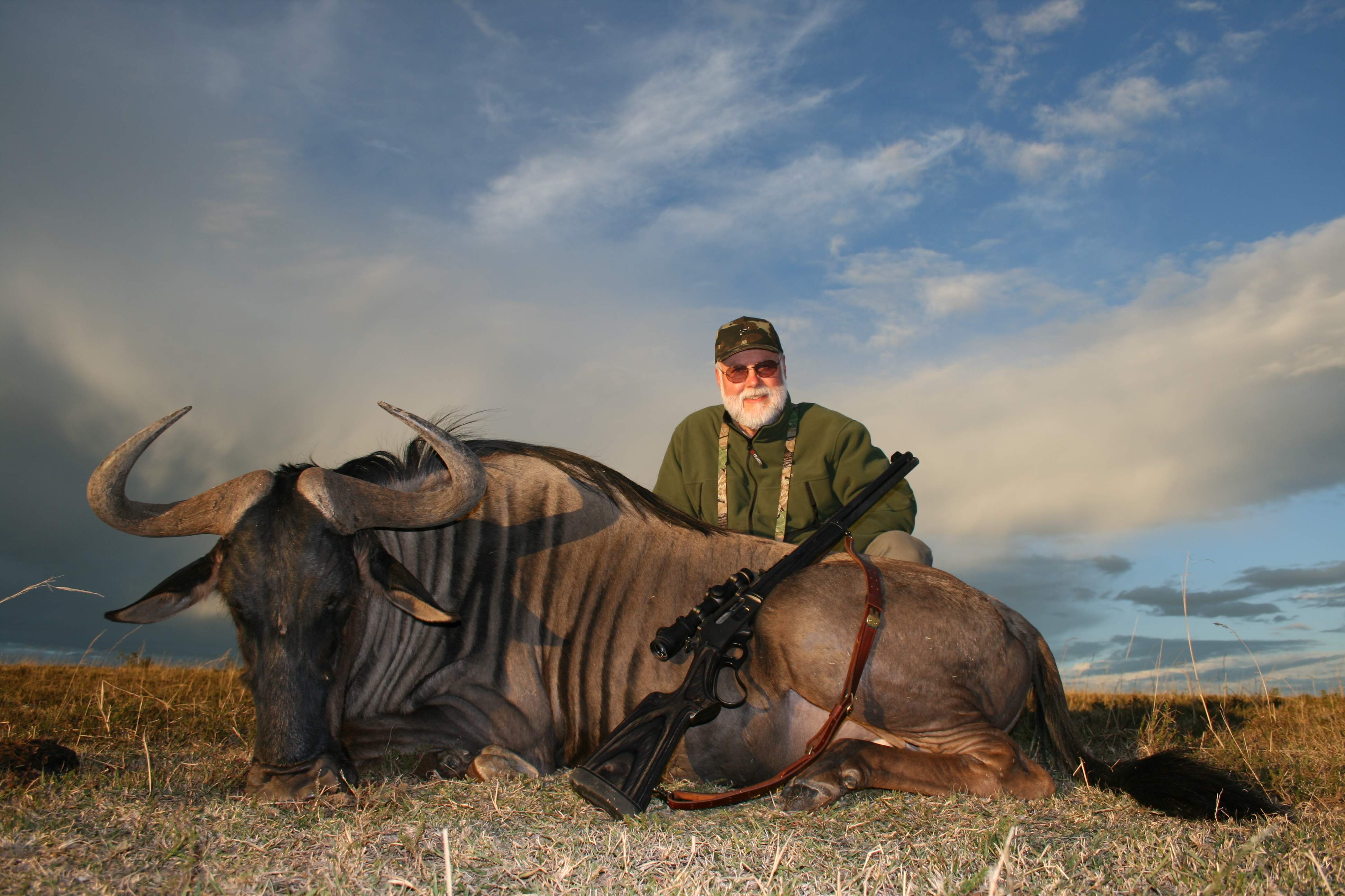 Blue Wildebeest 01a.JPG