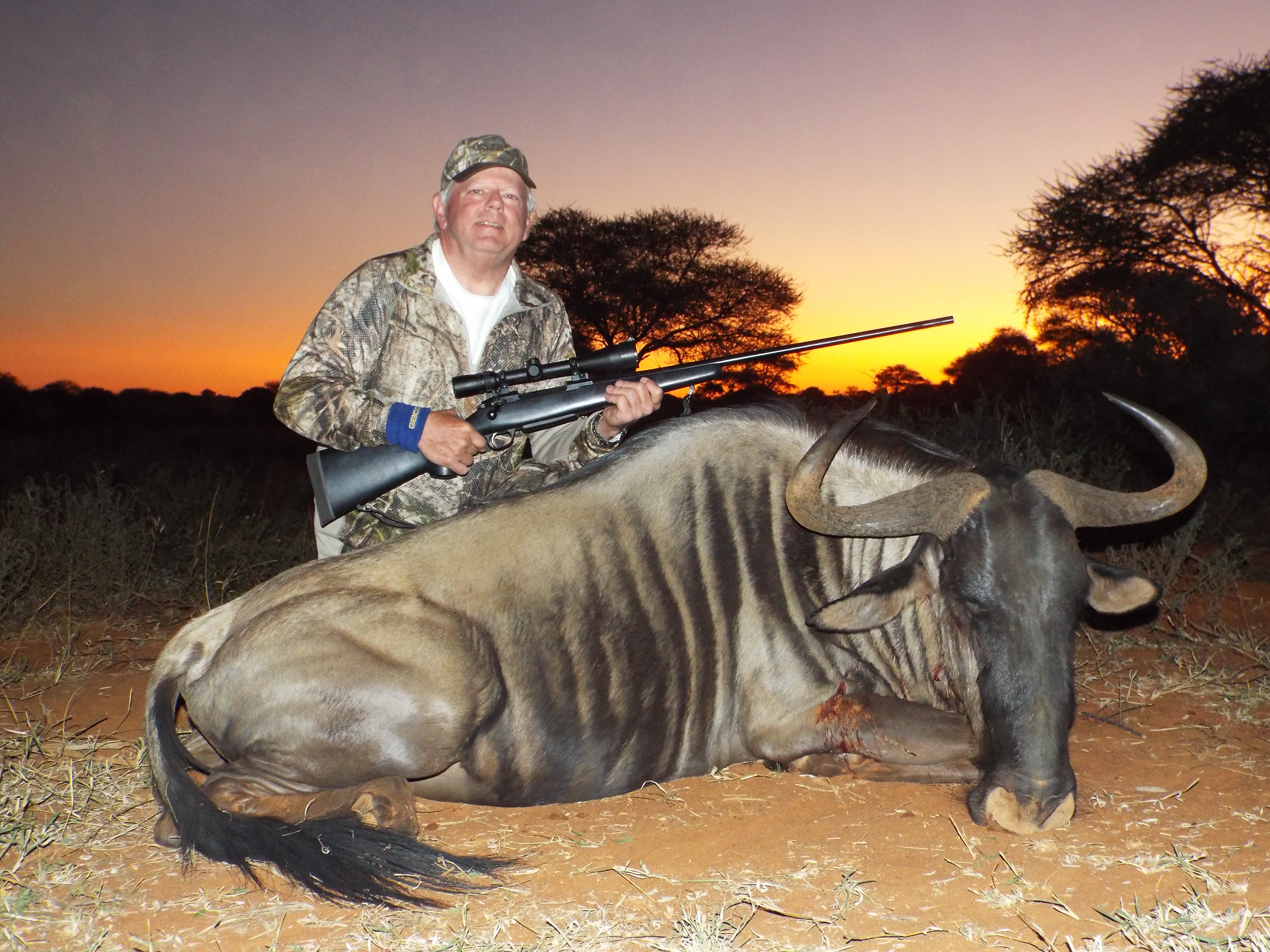 Blue Wildebeest at sunset.JPG