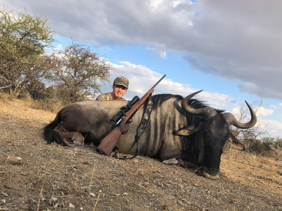 Blue Wildebeest.jpeg