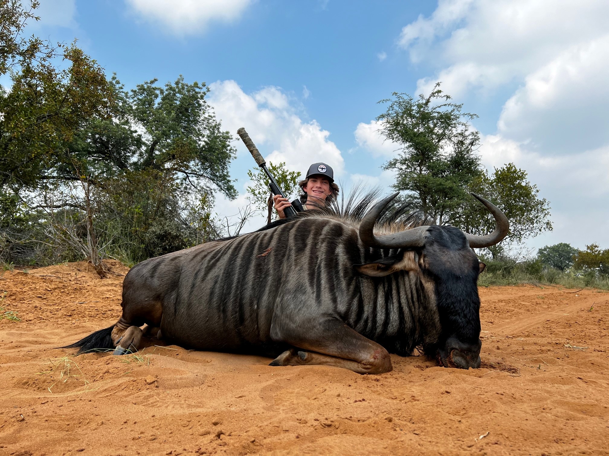 blue wildebeest.jpg