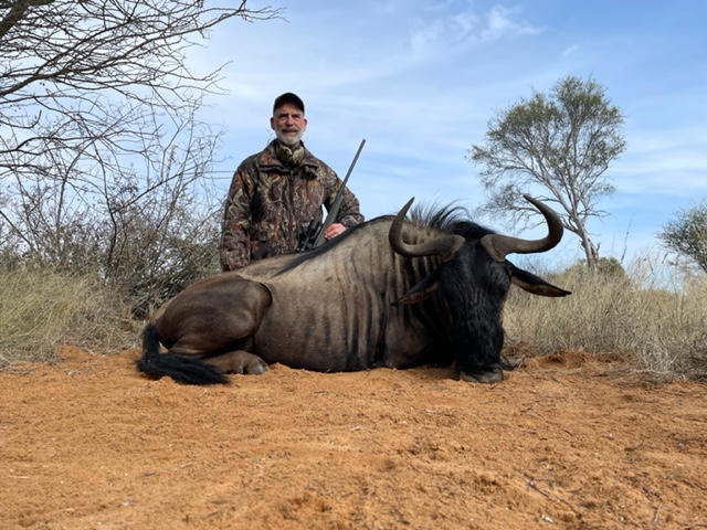 Blue Wildebeest.jpg